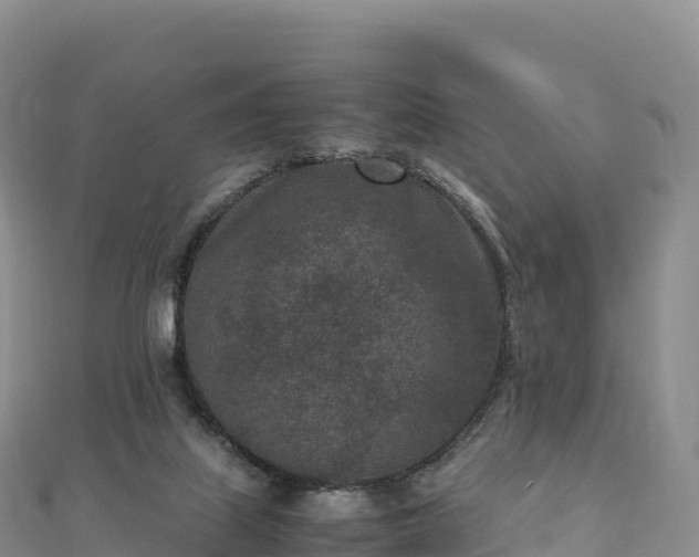 X0000110730067200906191534