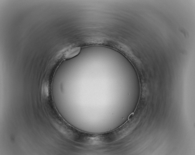 X0000110730068200906191534