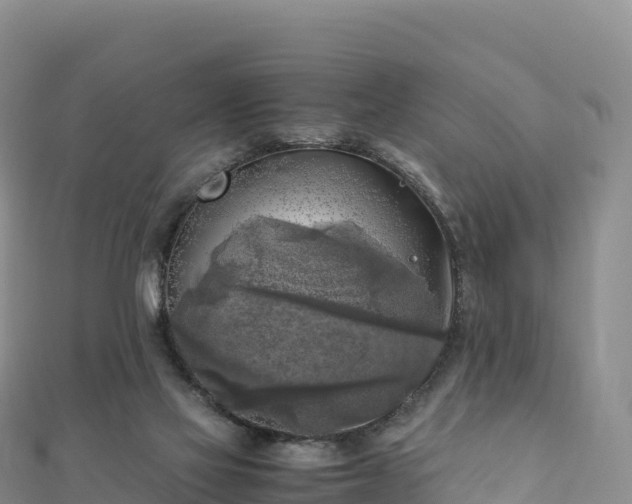 X0000110730069200906191534