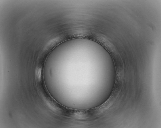 X0000110730070200906191534