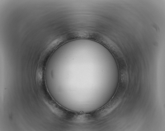 X0000110730072200906191534