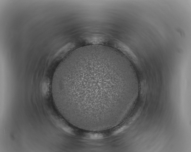 X0000110730073200906191534