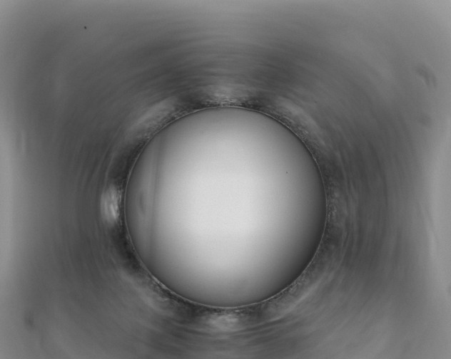 X0000110730075200906191534