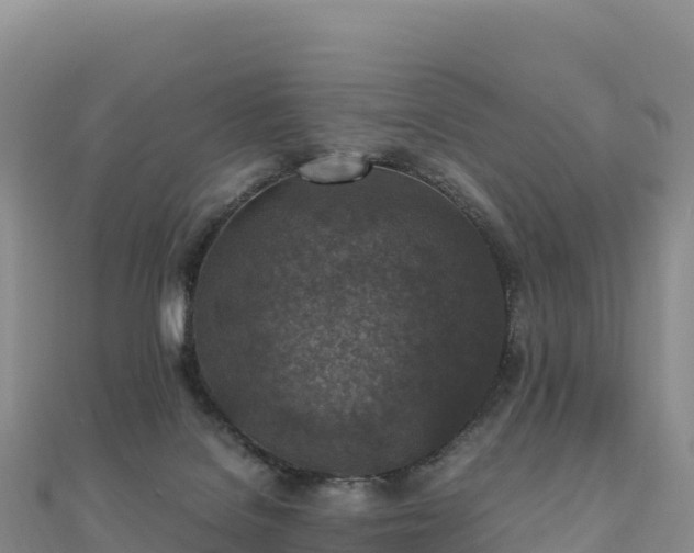 X0000110730076200906191534