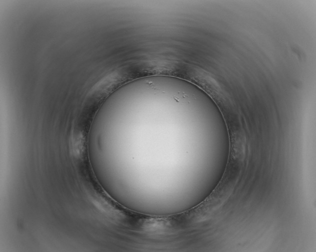 X0000110730077200906191534