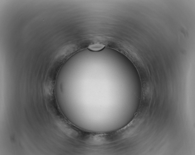 X0000110730078200906191534