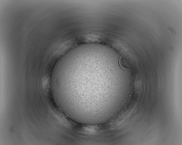 X0000110730079200906191534