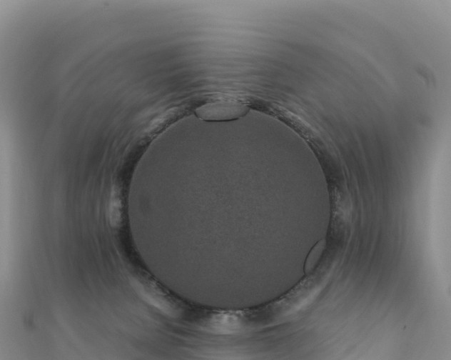 X0000110730080200906191534