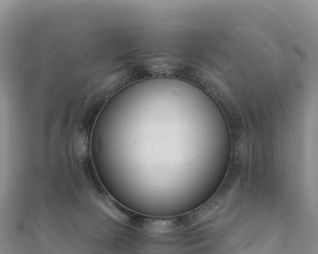 X0000110730081200906191534