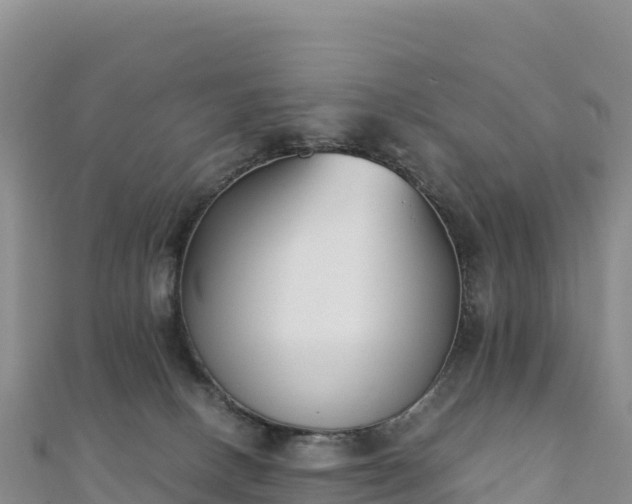 X0000110730082200906191534