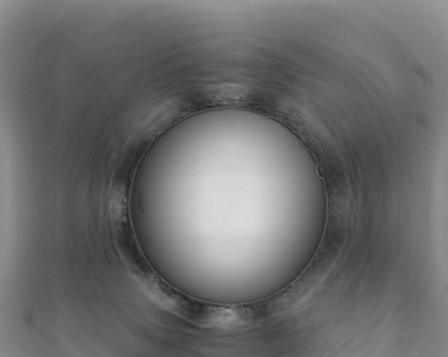 X0000110730083200906191534