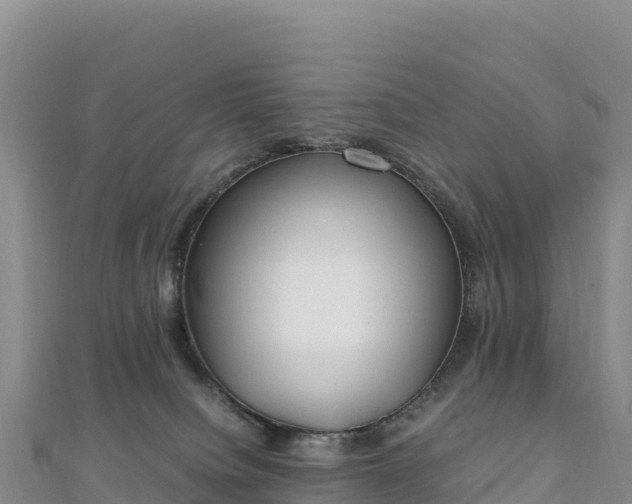 X0000110730084200906191535