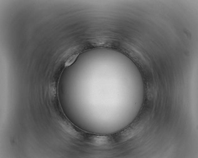 X0000110730085200906191535