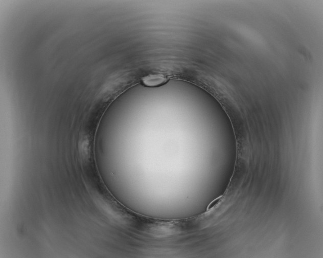 X0000110730086200906191535