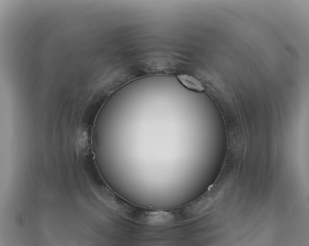 X0000110730087200906191535