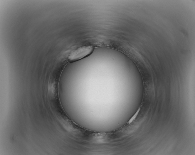 X0000110730088200906191535