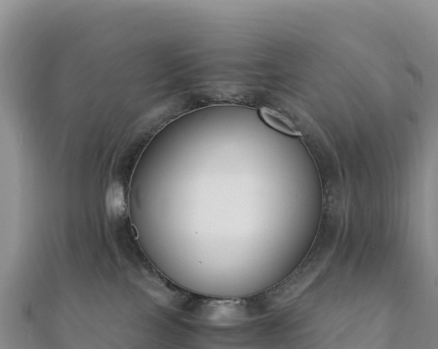 X0000110730089200906191535