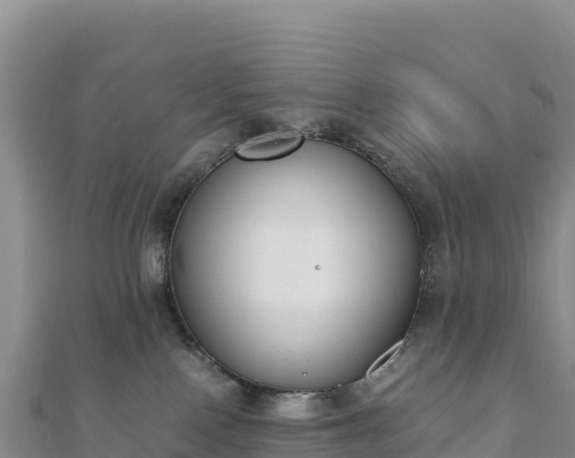 X0000110730090200906191535