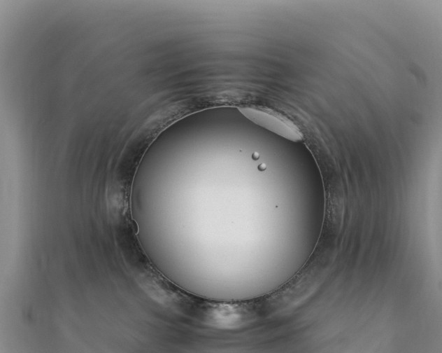 X0000110730091200906191535