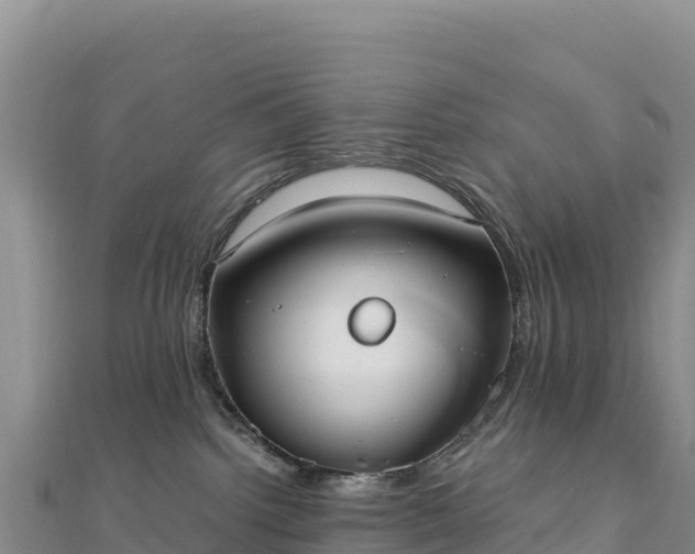 X0000110730092200906191535