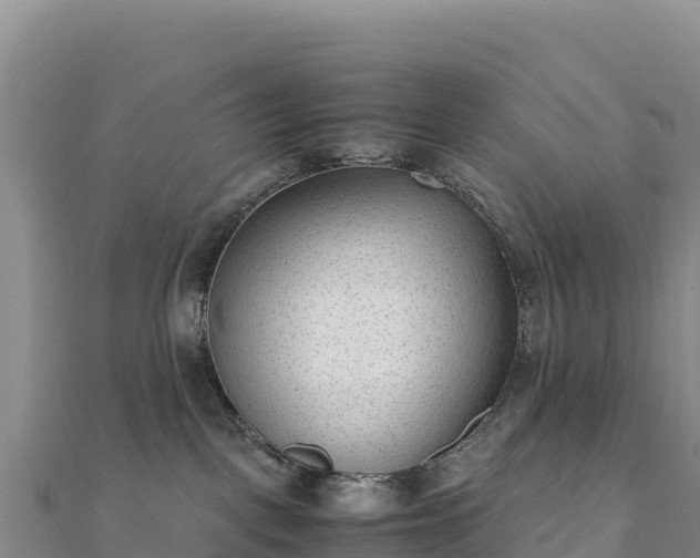 X0000110730093200906191535