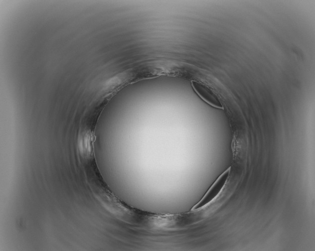 X0000110730094200906191535