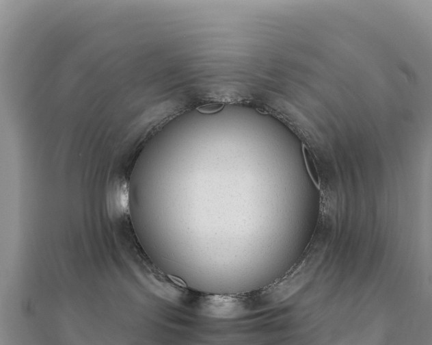 X0000110730095200906191535