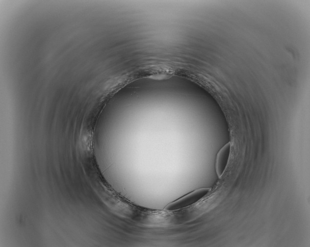 X0000110730096200906191535