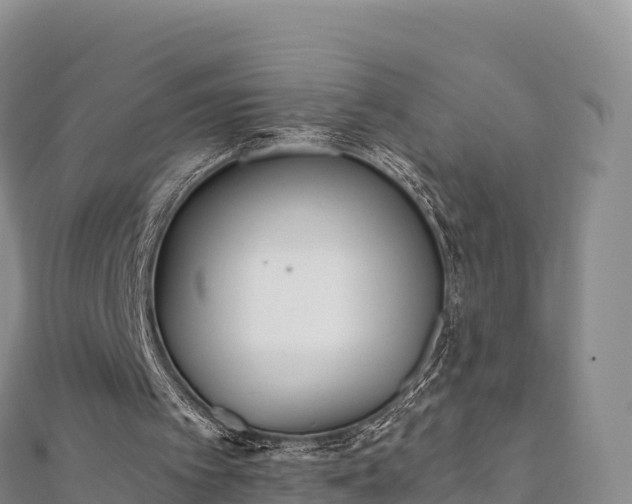 X0000110730097200906191534