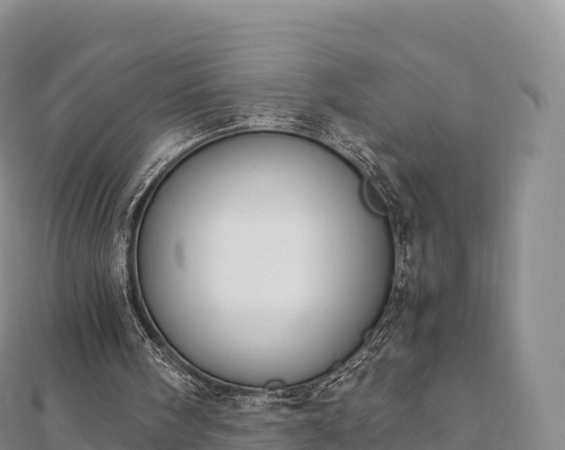 X0000110730098200906191534