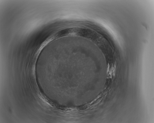 X0000110730099200906191534