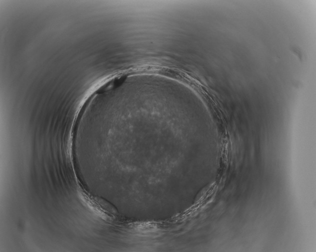 X0000110730100200906191534