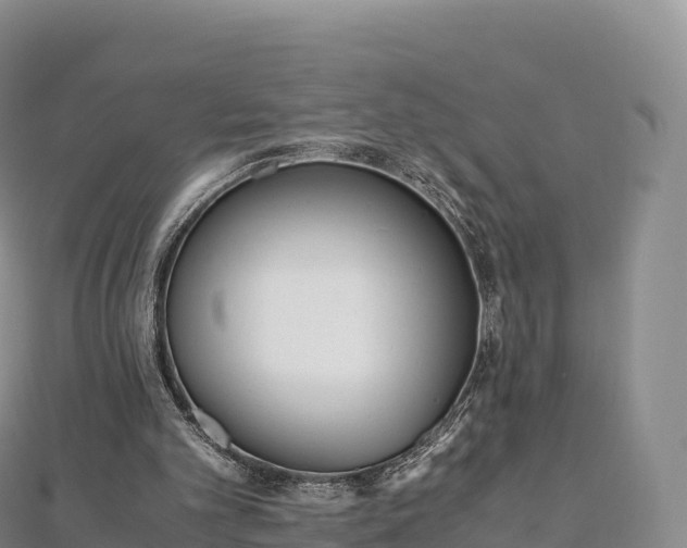 X0000110730101200906191534