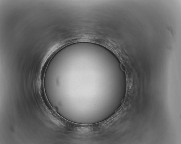 X0000110730102200906191534