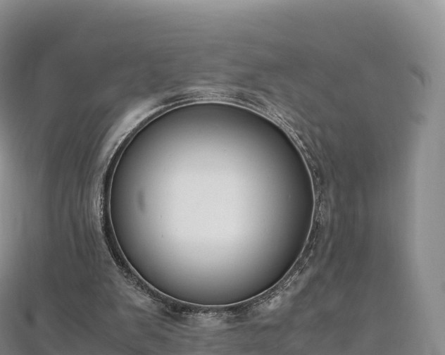 X0000110730103200906191534