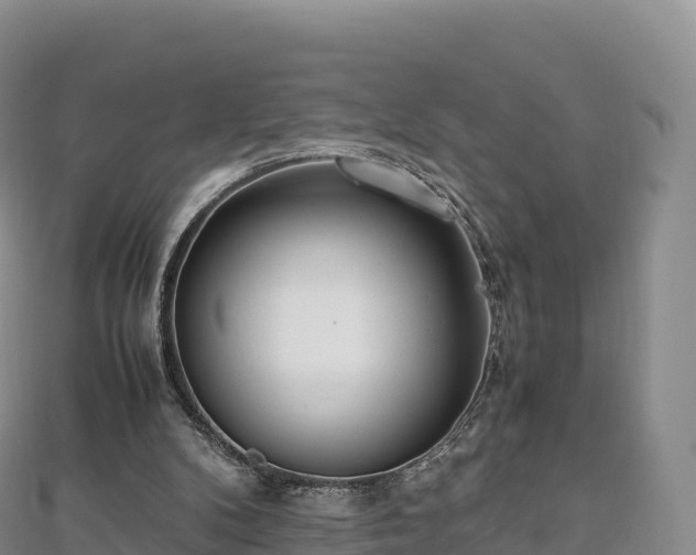 X0000110730104200906191534