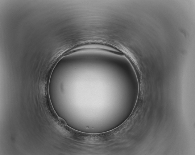 X0000110730105200906191534