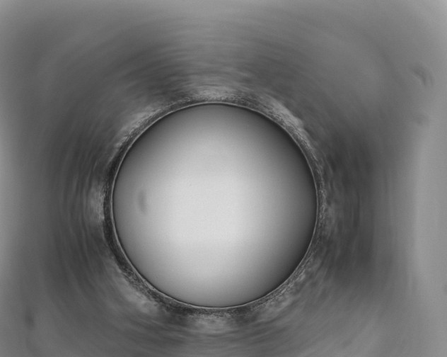 X0000110730106200906191534