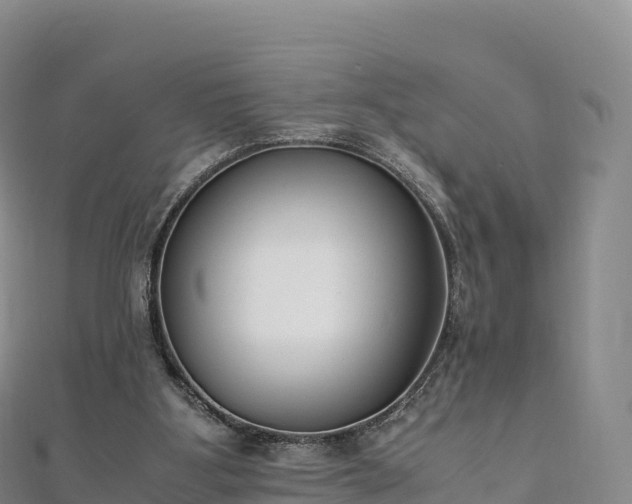 X0000110730107200906191534