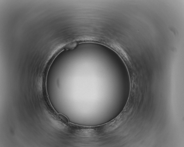 X0000110730108200906191534