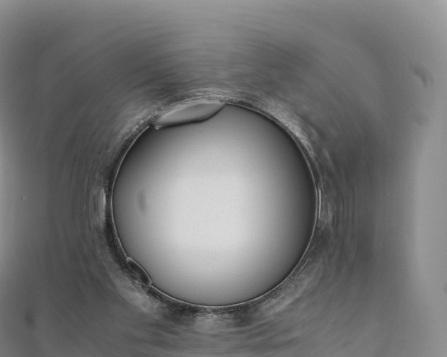 X0000110730109200906191534