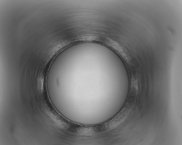 X0000110730110200906191534