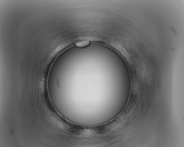 X0000110730111200906191534