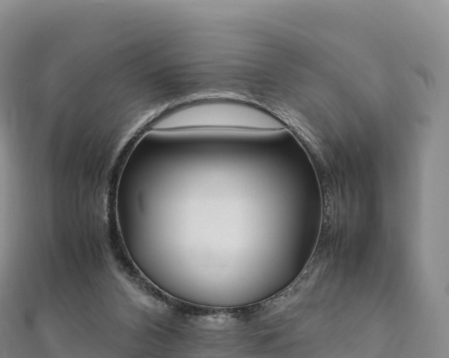 X0000110730112200906191534