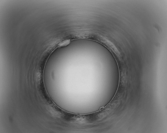 X0000110730113200906191534