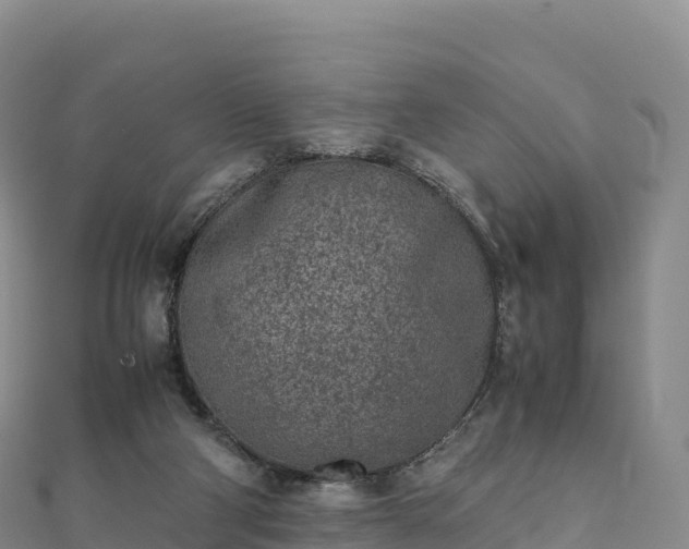 X0000110730114200906191534