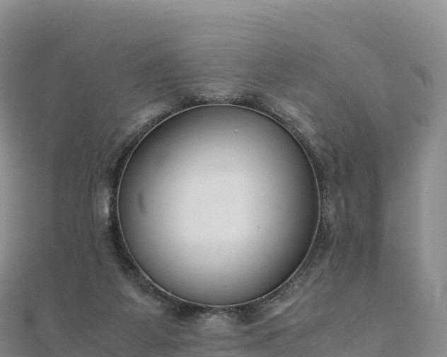 X0000110730115200906191534