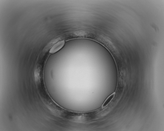 X0000110730116200906191534