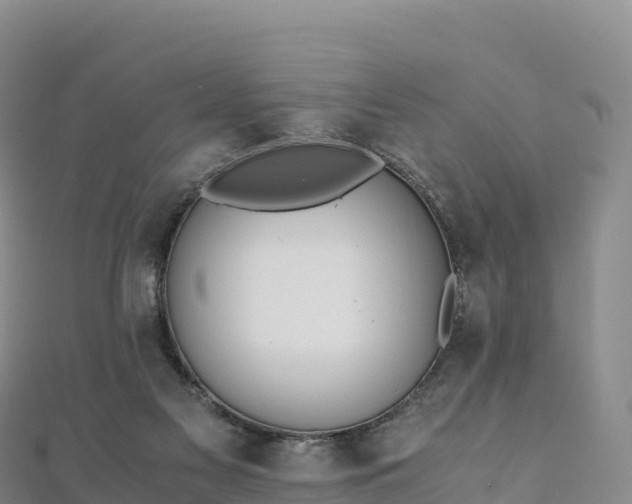 X0000110730117200906191534