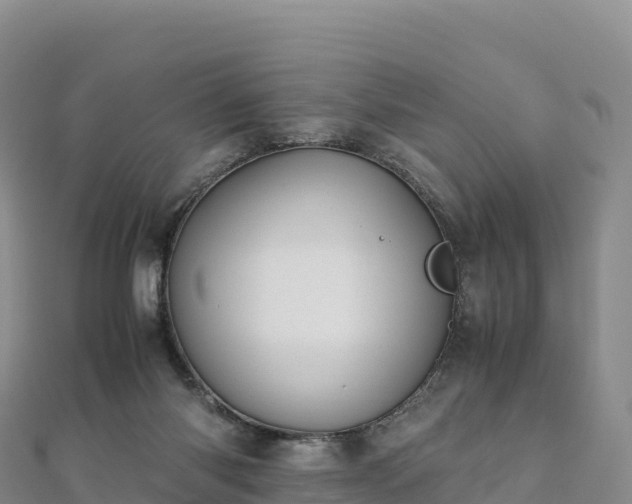 X0000110730118200906191534